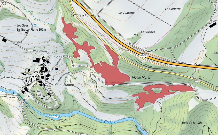 Carte nationale swisstopo avec le périmètre protégé de Vieille Morte (Prairie sèche)
