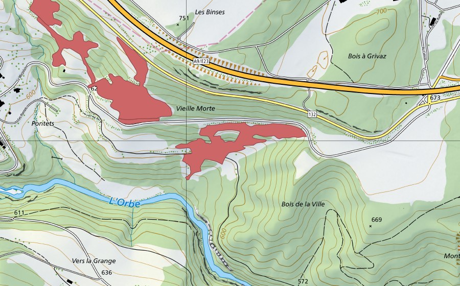 Carte nationale swisstopo avec le périmètre protégé de Vieille Morte (Prairie sèche)
