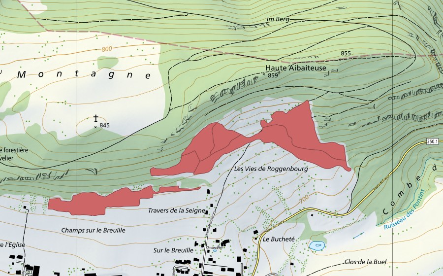 Landeskarte swisstopo mit dem Schutzperimeter von Vies de Roggenburg (Trockenwiese)
