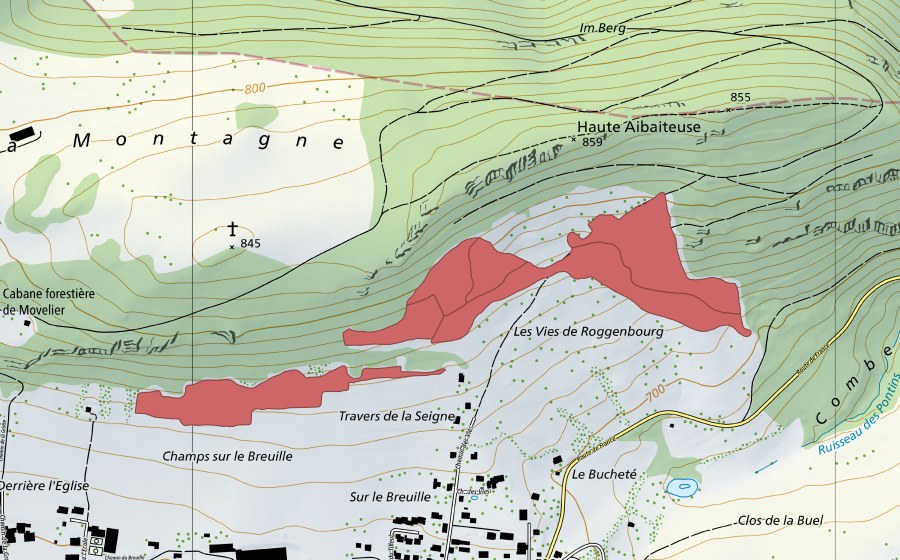 Carte nationale swisstopo avec le périmètre protégé de Vies de Roggenburg (Prairie sèche)