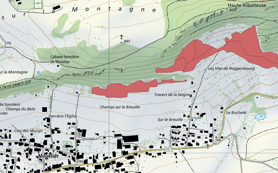 swisstopo national map showing the protected perimeter of Vies de Roggenburg (Dry meadow)