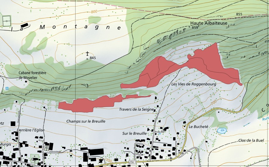 Landeskarte swisstopo mit dem Schutzperimeter von Vies de Roggenburg (Trockenwiese)