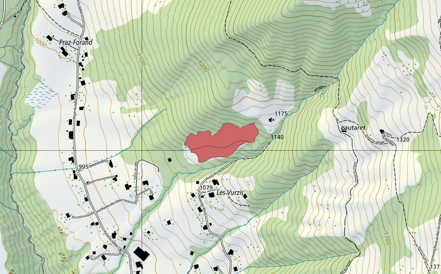 Landeskarte swisstopo mit dem Schutzperimeter von Villard (Trockenwiese)