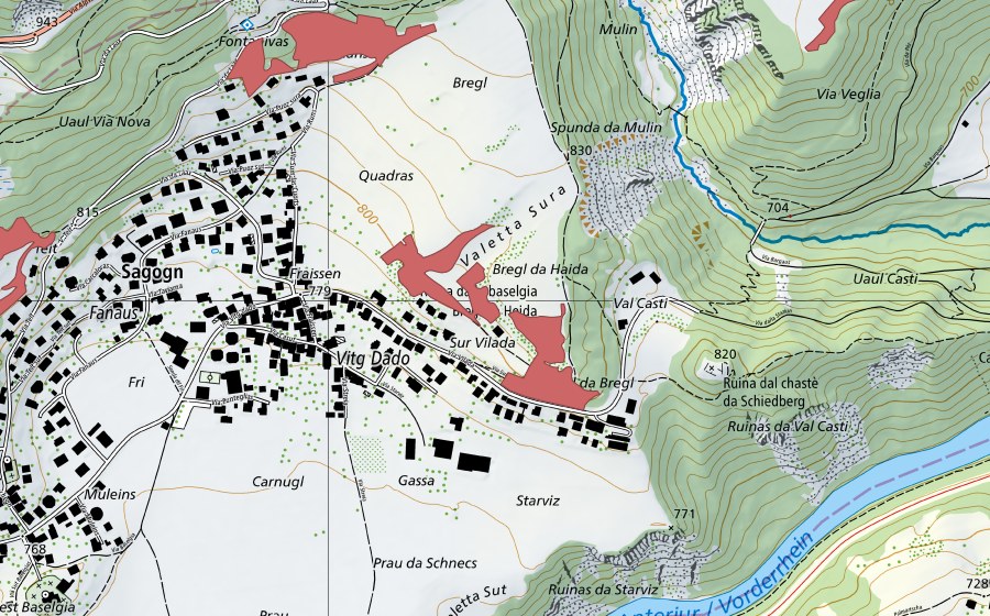 Carte nationale swisstopo avec le périmètre protégé de Vitg Dado (Prairie sèche)