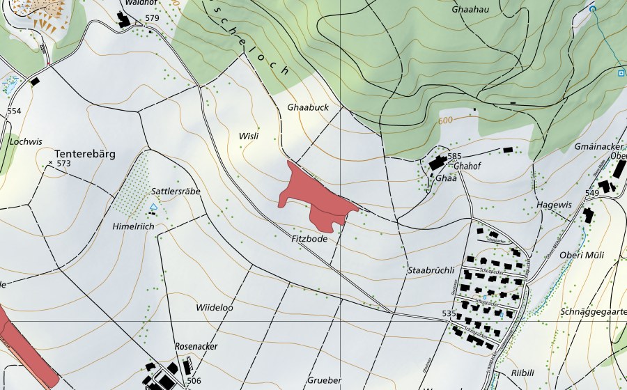 Landeskarte swisstopo mit dem Schutzperimeter von Vitzboden (Trockenwiese)