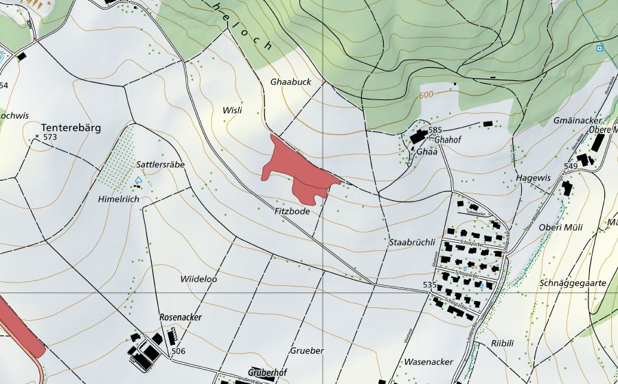 swisstopo national map showing the protected perimeter of Vitzboden (Dry meadow)
