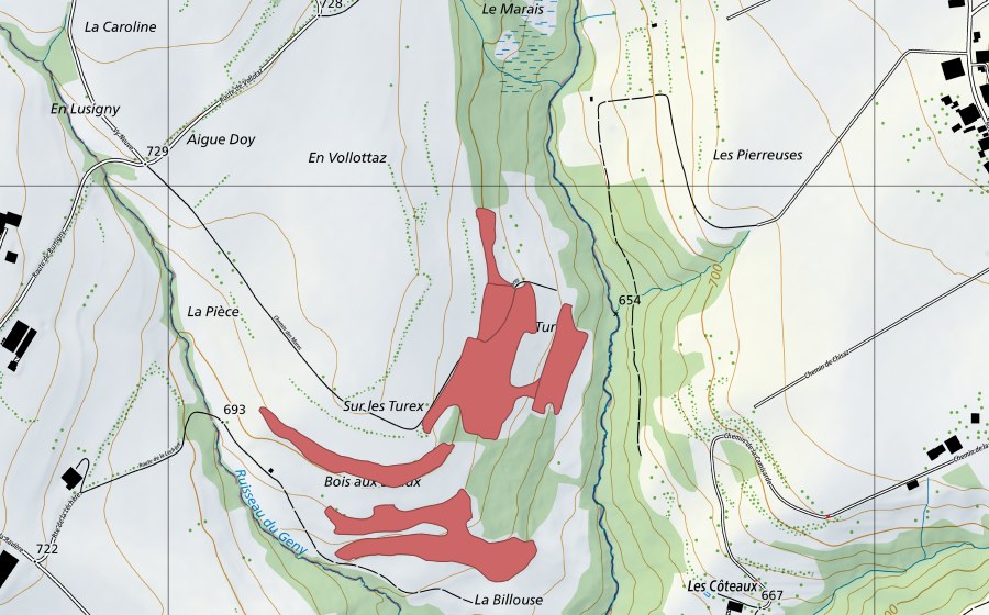 Landeskarte swisstopo mit dem Schutzperimeter von Volota (Trockenwiese)