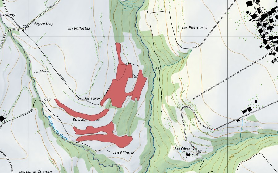 swisstopo national map showing the protected perimeter of Volota (Dry meadow)