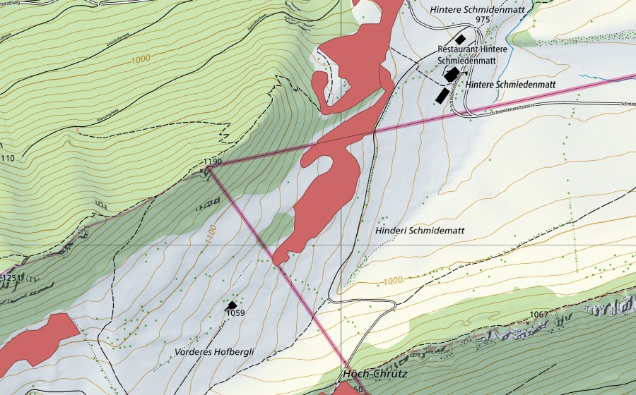 Landeskarte swisstopo mit dem Schutzperimeter von Vord. Hofbergli (Trockenwiese)