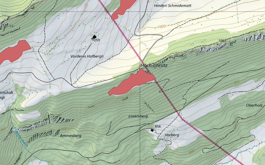 swisstopo national map showing the protected perimeter of Vorder Hofbergli (Dry meadow)