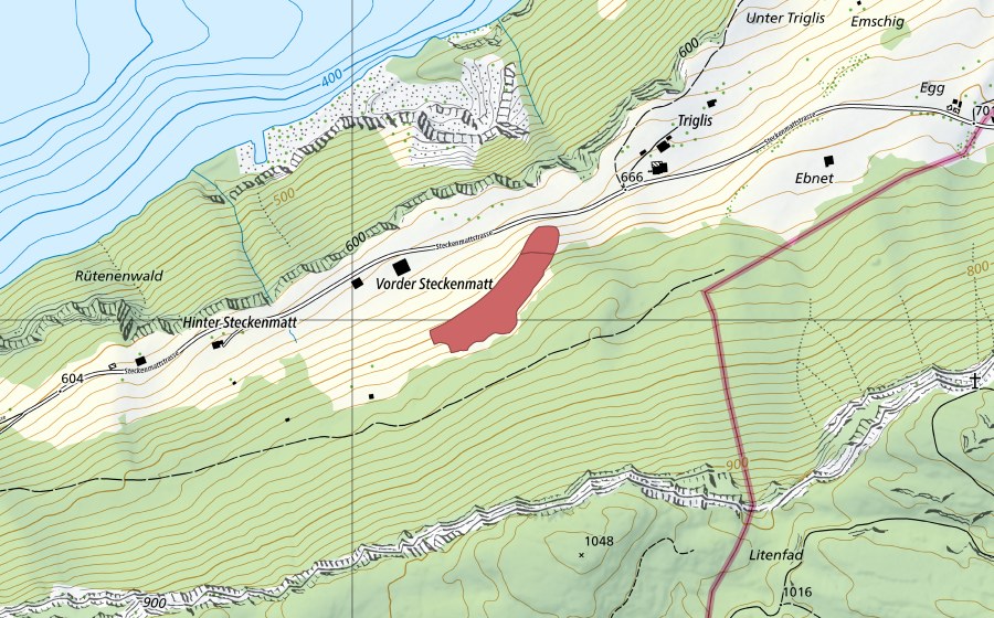 Landeskarte swisstopo mit dem Schutzperimeter von Vorder Stäckenmatt (Trockenwiese)