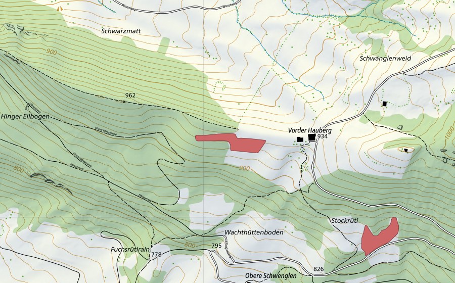 Carta nazionale swisstopo con il perimetro protetto di Vordere Hauberg (Prato secco)