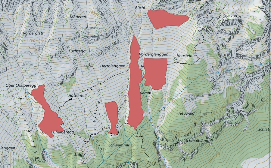 Landeskarte swisstopo mit dem Schutzperimeter von Vordere Planggen (Trockenwiese)