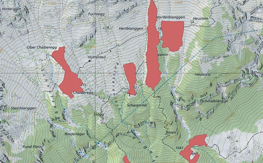 Landeskarte swisstopo mit dem Schutzperimeter von Vordere Planggen (Trockenwiese)