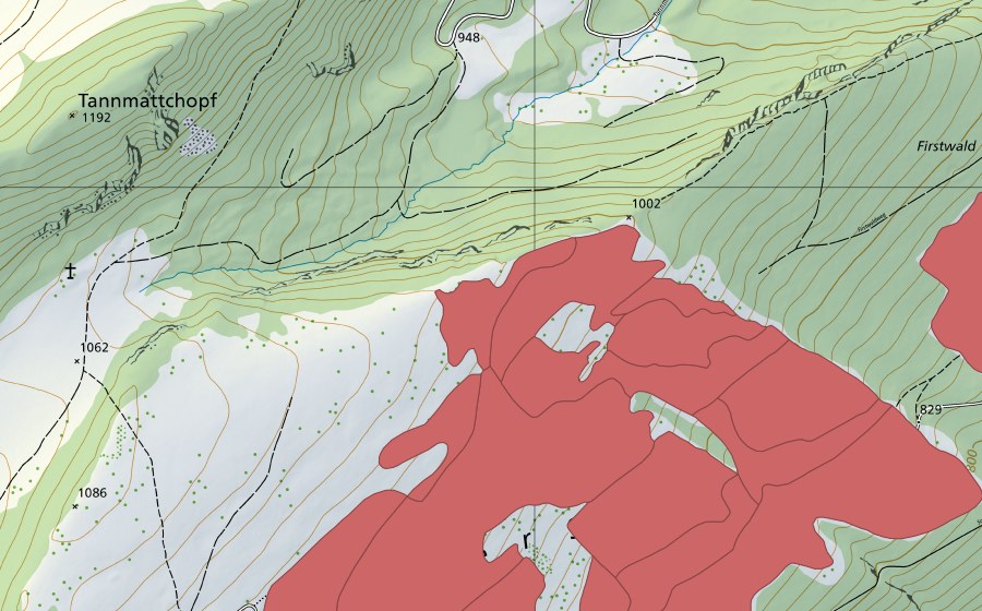 Carta nazionale swisstopo con il perimetro protetto di Vorderer Brandberg (Prato secco)