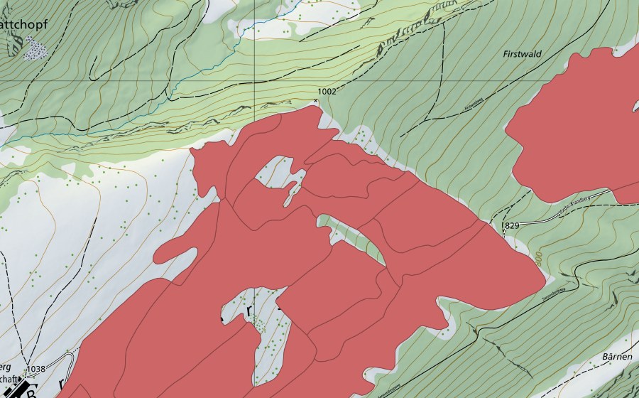 Carte nationale swisstopo avec le périmètre protégé de Vorderer Brandberg (Prairie sèche)