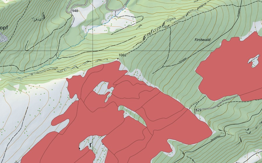 swisstopo national map showing the protected perimeter of Vorderer Brandberg (Dry meadow)