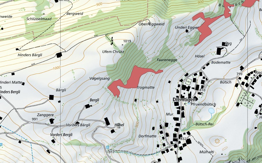 Landeskarte swisstopo mit dem Schutzperimeter von Vorders Bärgli (Trockenwiese)
