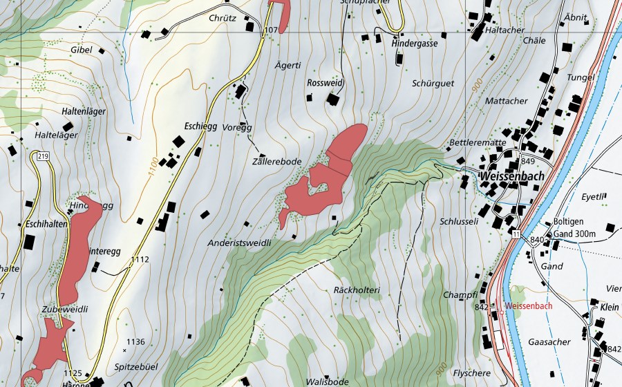swisstopo national map showing the protected perimeter of Voregg (Dry meadow)