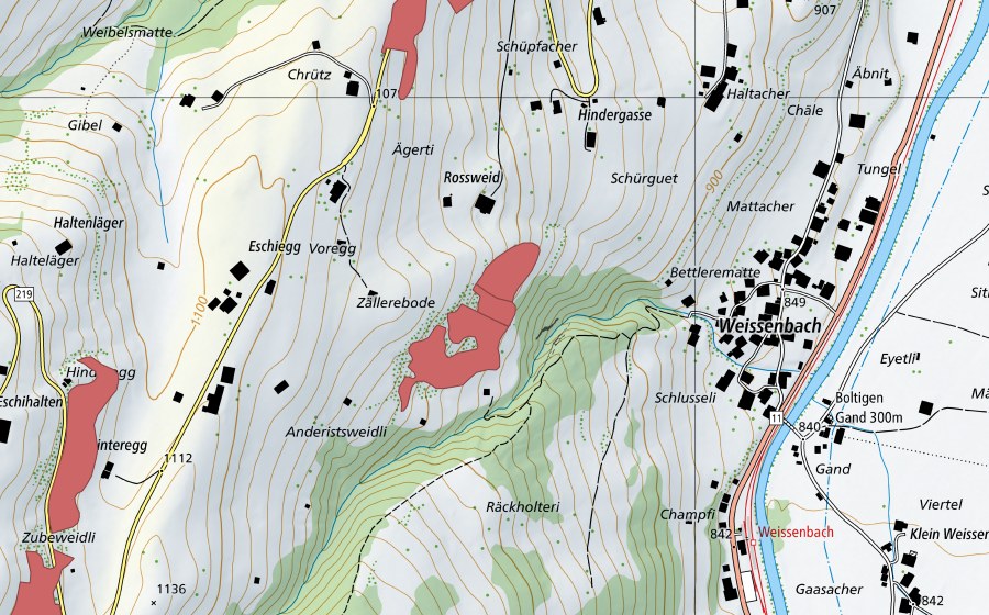 swisstopo national map showing the protected perimeter of Voregg (Dry meadow)