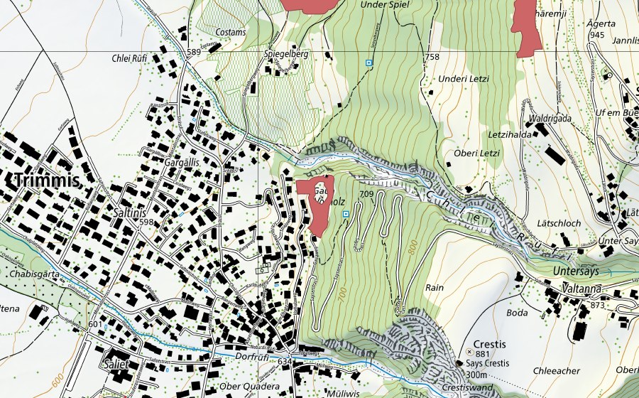 Landeskarte swisstopo mit dem Schutzperimeter von Vorholz (Trockenwiese)