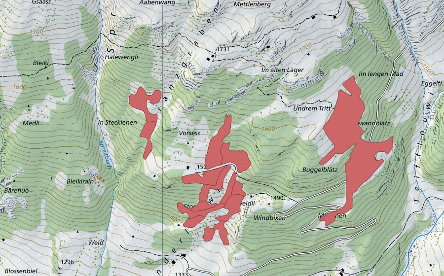 Landeskarte swisstopo mit dem Schutzperimeter von Vorsess (Trockenwiese)