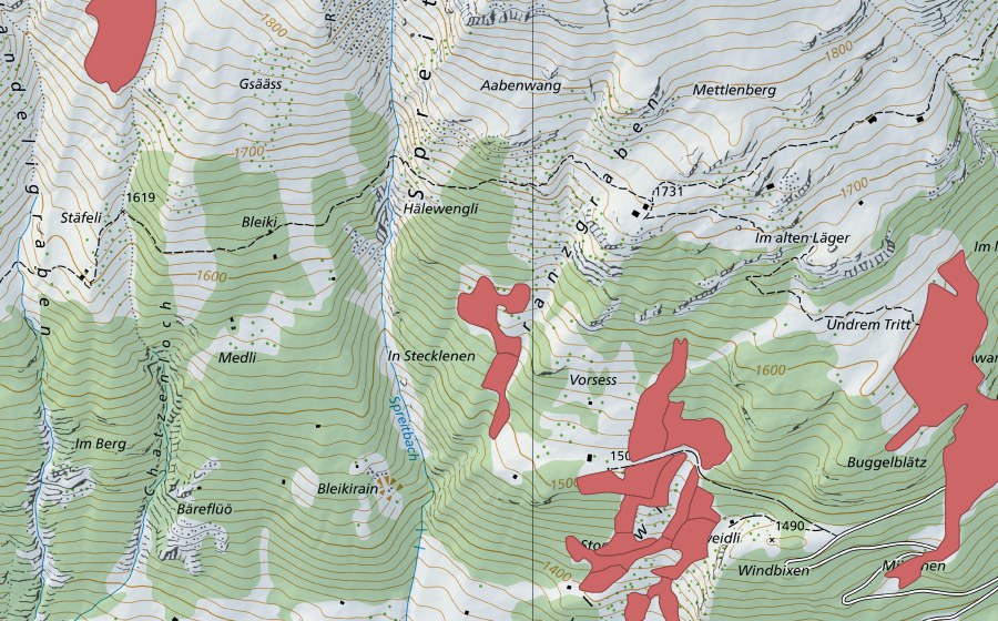 Landeskarte swisstopo mit dem Schutzperimeter von Vorsess (Trockenwiese)