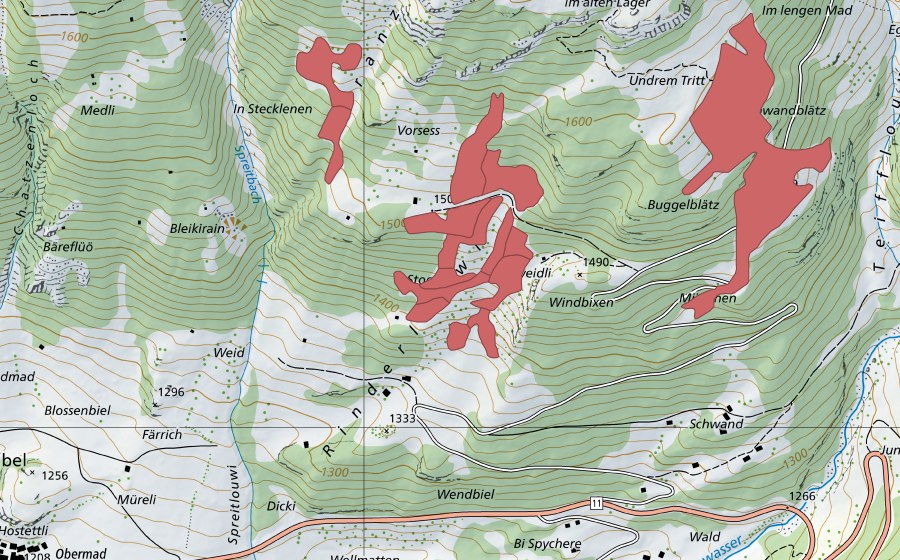 Carta nazionale swisstopo con il perimetro protetto di Vorsess (Prato secco)