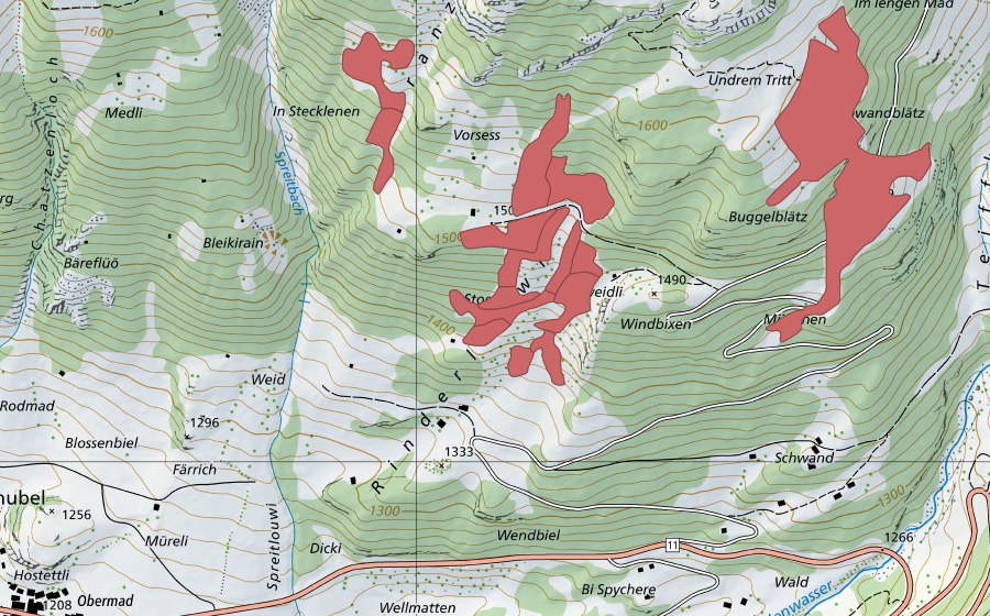 Carta nazionale swisstopo con il perimetro protetto di Vorsess (Prato secco)