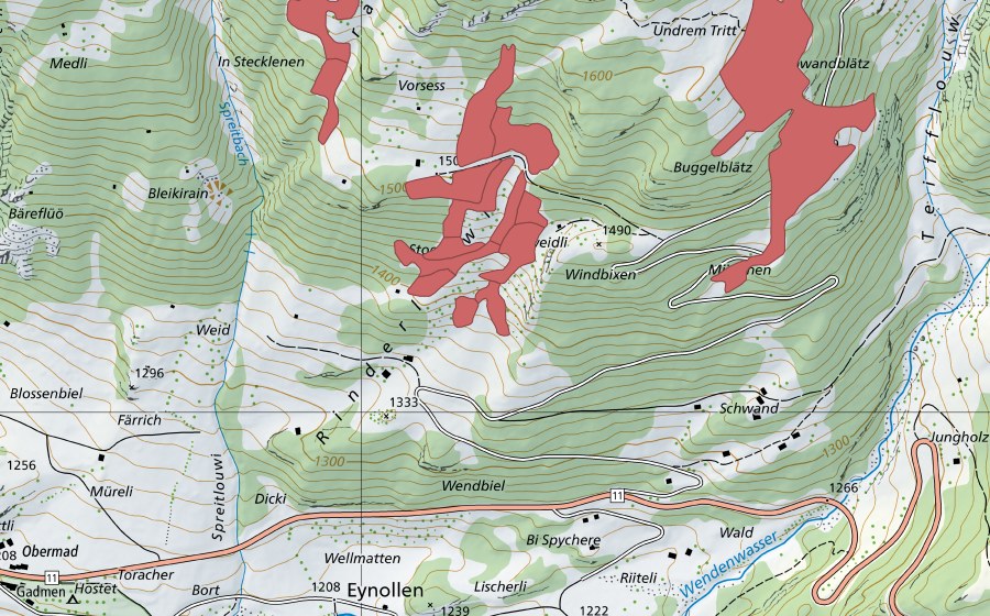 swisstopo national map showing the protected perimeter of Vorsess (Dry meadow)