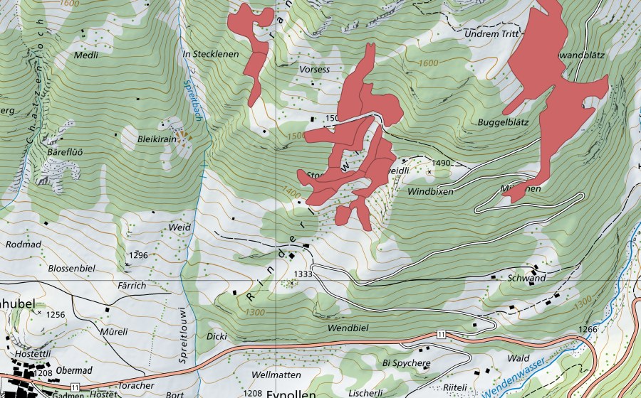 swisstopo national map showing the protected perimeter of Vorsess (Dry meadow)