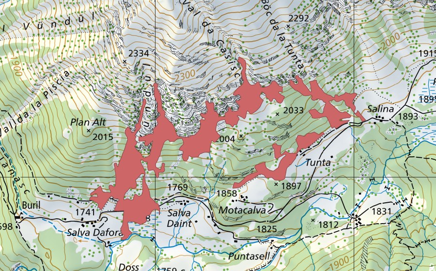 Landeskarte swisstopo mit dem Schutzperimeter von Vündül (Trockenwiese)