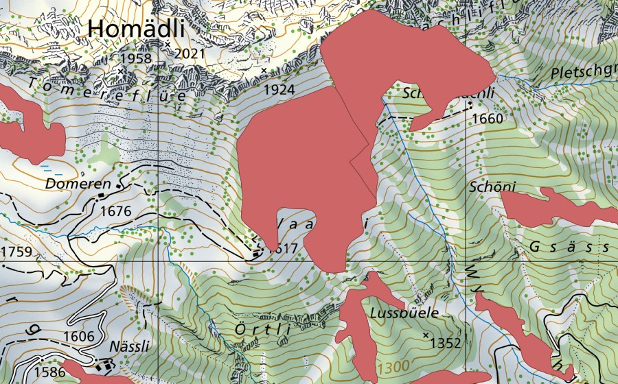 swisstopo national map showing the protected perimeter of Waachli (Dry meadow)