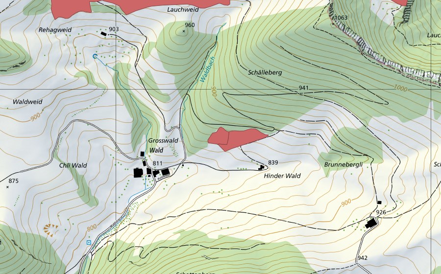 Carta nazionale swisstopo con il perimetro protetto di Wald (Prato secco)