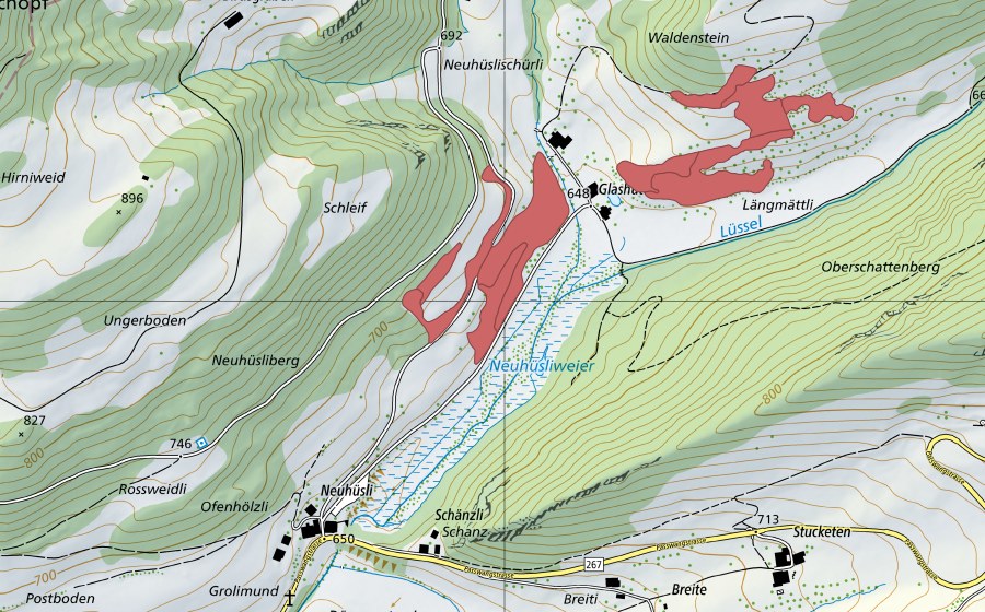 Landeskarte swisstopo mit dem Schutzperimeter von Waldenstein (Trockenwiese)