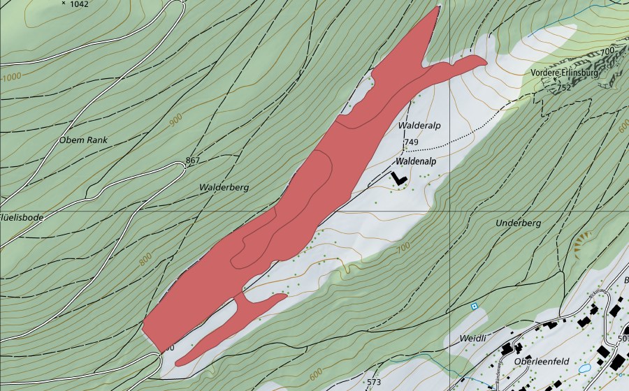 Carta nazionale swisstopo con il perimetro protetto di Walderalp (Prato secco)