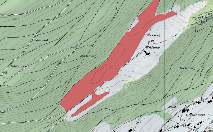 Carte nationale swisstopo avec le périmètre protégé de Walderalp (Prairie sèche)