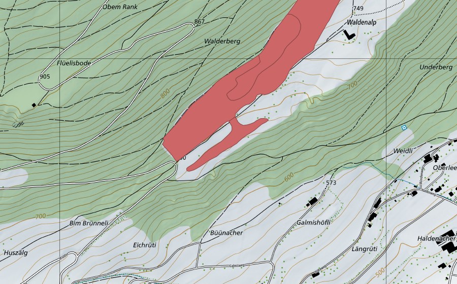 swisstopo national map showing the protected perimeter of Walderalp (Dry meadow)