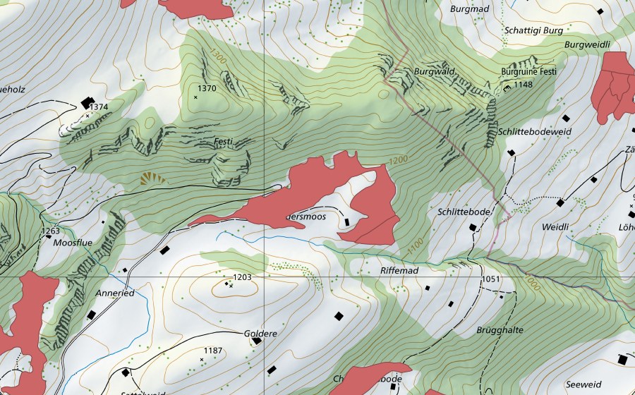 swisstopo national map showing the protected perimeter of Waldersmoos (Dry meadow)