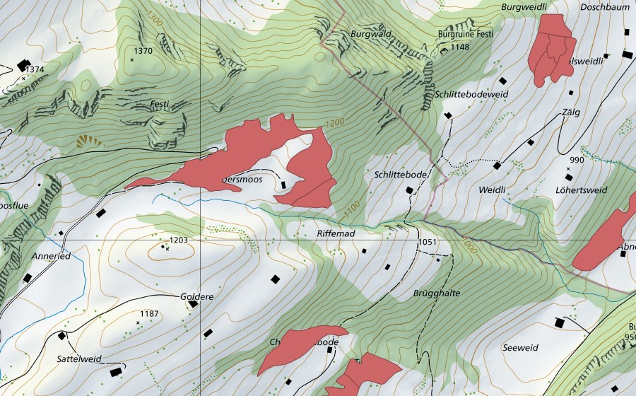 swisstopo national map showing the protected perimeter of Waldersmoos (Dry meadow)