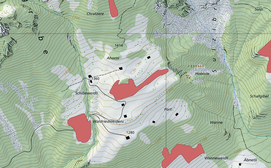 Landeskarte swisstopo mit dem Schutzperimeter von Waldriedweideni (Trockenwiese)