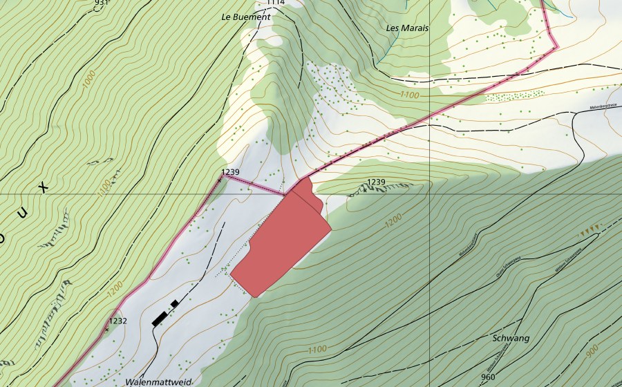 Carte nationale swisstopo avec le périmètre protégé de Walenmatt (Prairie sèche)