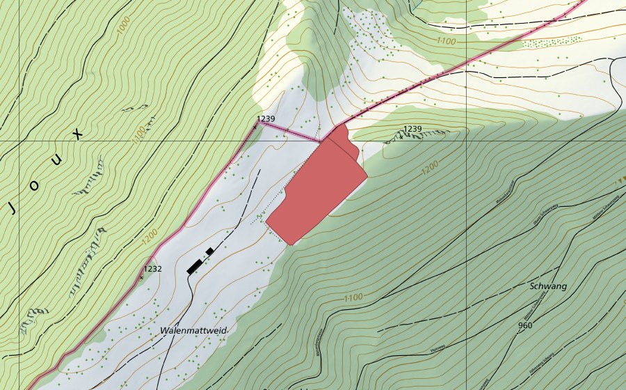 Landeskarte swisstopo mit dem Schutzperimeter von Walenmatt (Trockenwiese)