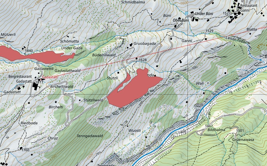 Landeskarte swisstopo mit dem Schutzperimeter von Wali (Trockenwiese)