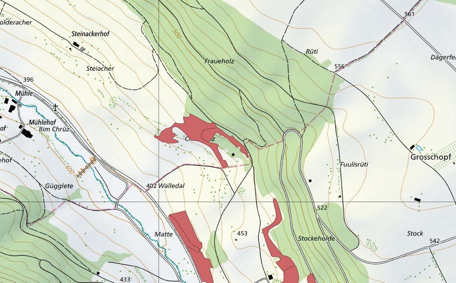swisstopo national map showing the protected perimeter of Walledal (Dry meadow)