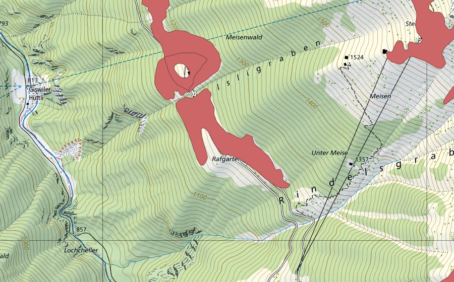 swisstopo national map showing the protected perimeter of Walsli (Dry meadow)