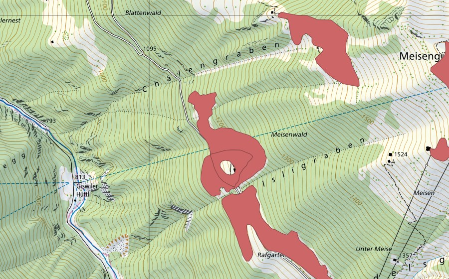 swisstopo national map showing the protected perimeter of Walsli (Dry meadow)