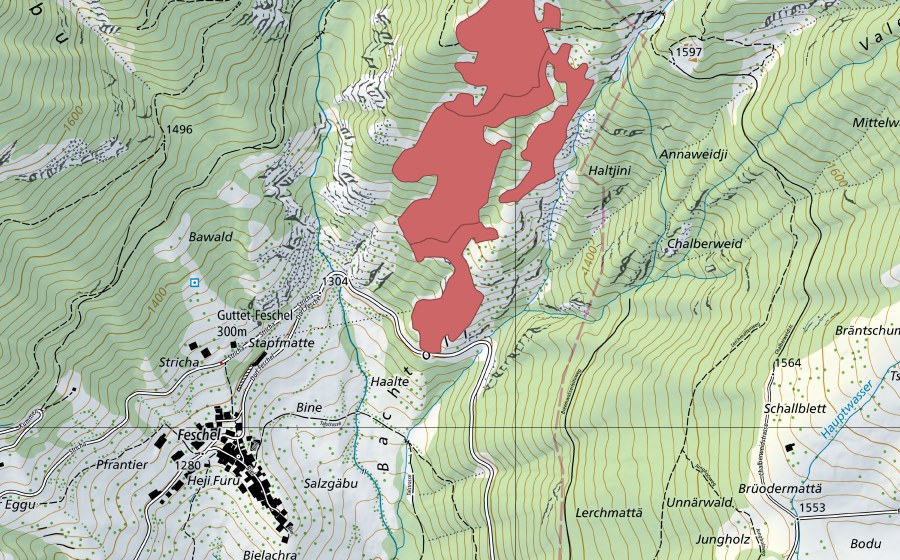 Landeskarte swisstopo mit dem Schutzperimeter von Wäng (Trockenwiese)