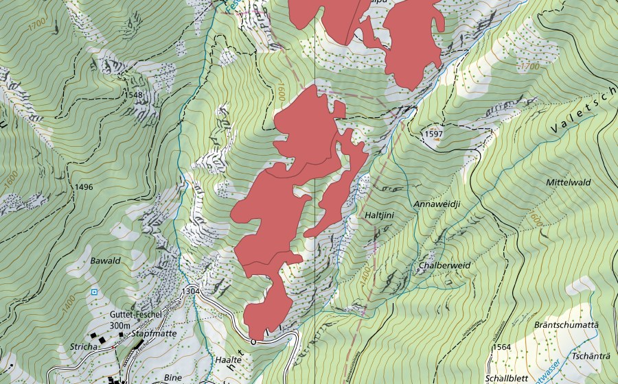 Landeskarte swisstopo mit dem Schutzperimeter von Wäng (Trockenwiese)