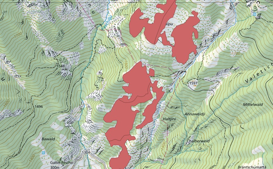 Landeskarte swisstopo mit dem Schutzperimeter von Wäng (Trockenwiese)
